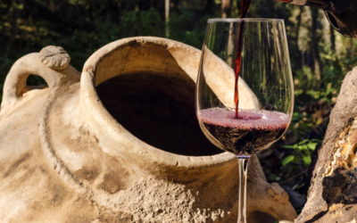 Climbing the ladder with a wine making genius from Abruzzo, Italy